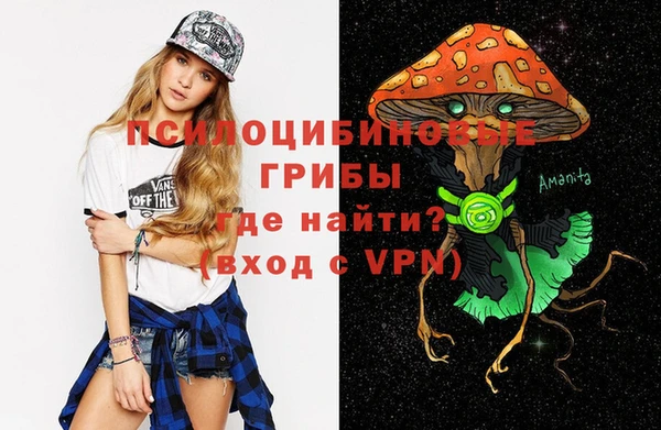 хмурый Верея